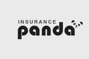 USAA And GEICO Named the Best Auto Insurance Companies for New Drivers at Insurance Panda